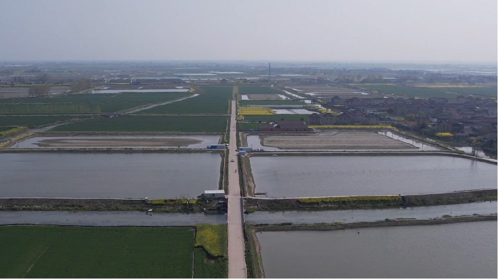 媒体管家：运满满助力“农村公路+产业”  铺就乡村振兴“快车道”