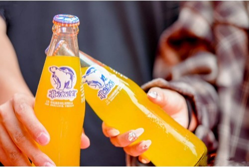 2025媒体管家：北极熊大挑战：北冰洋携手欧乐堡动物王国守护冰川