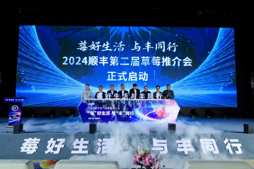 媒体管家官网：运能提升超 20%！顺丰打造“直播+物流”新业态，为丹东草莓讲好品牌故事