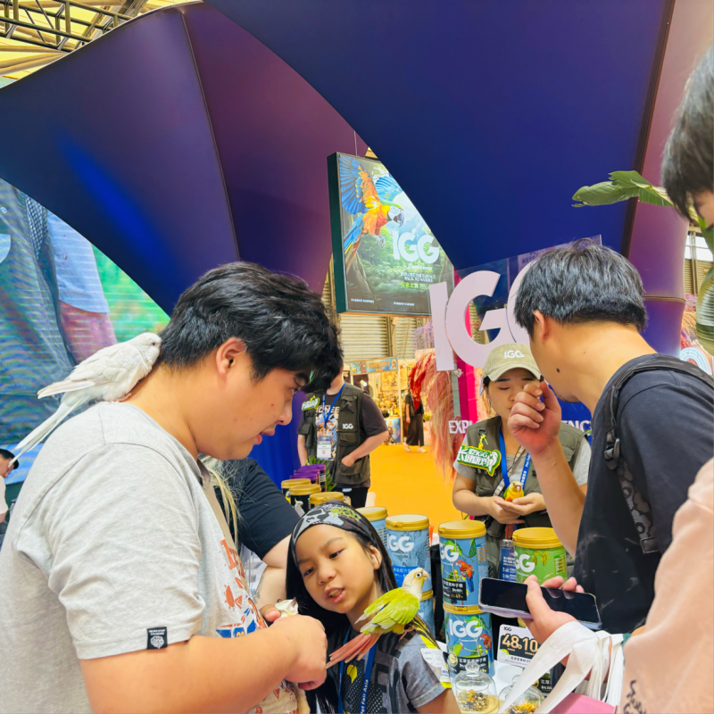 亚展盛事：IGG品牌斩获双奖，引领鹦鹉滋养丸科学喂养新篇章(图5)