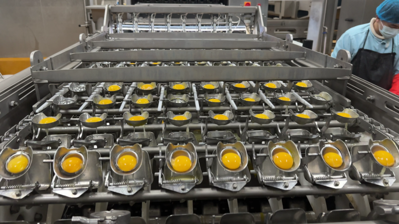 双认证加持!沈师傅食品以硬核实力,领航鸡蛋营养新赛道(图5) 双认证加持!沈师傅食品以硬核实力,领航鸡蛋营养新赛道(图5)