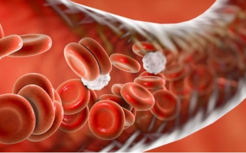 阿托伐他汀是治什么的?优选原研药、长期使用,有效降脂第一步(图3) 阿托伐他汀是治什么的?优选原研药、长期使用,有效降脂第一步(图3)