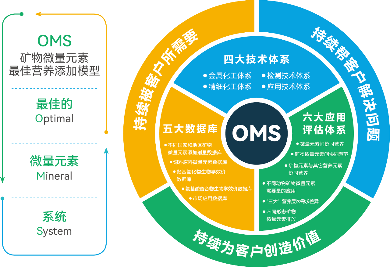 1765265316605805.png 4.png